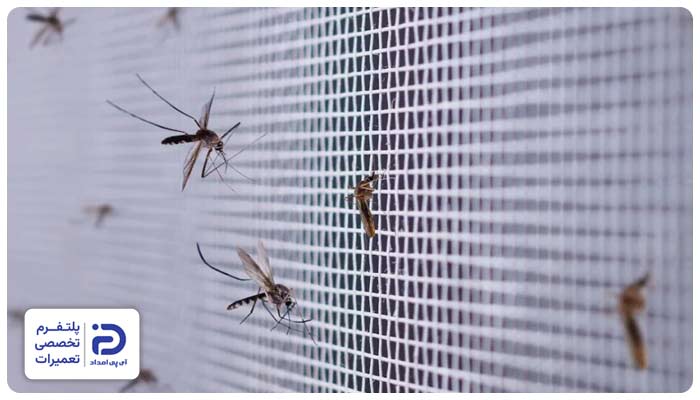 نفوذ حشرات در کولرگازی