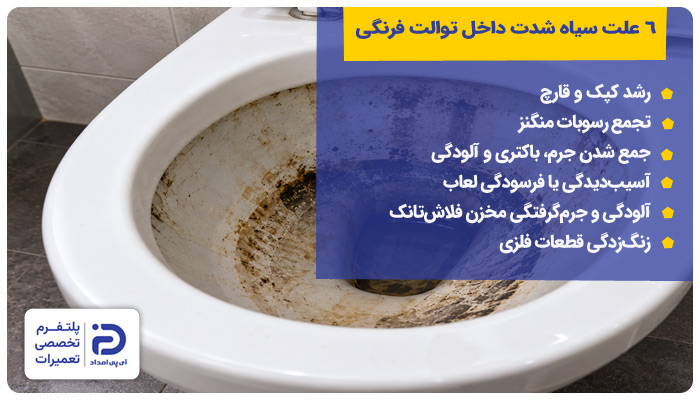 6 علت سیاه شدن داخل توالت فرنگی